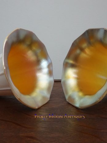 ZZ Sold **Steuben Calcite White & Aurene Art Glass Shades